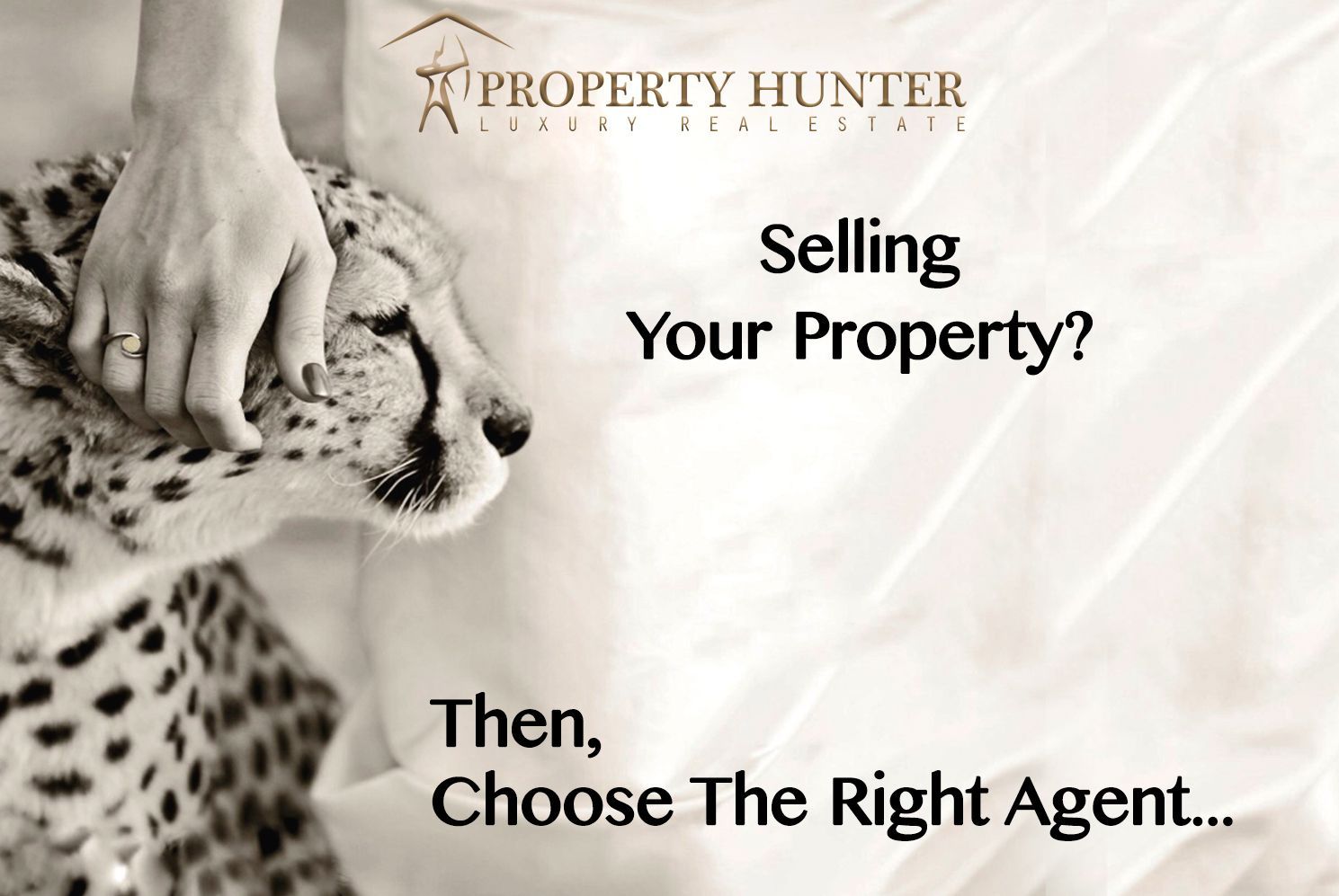 Property Hunter Luxury Real Estate 